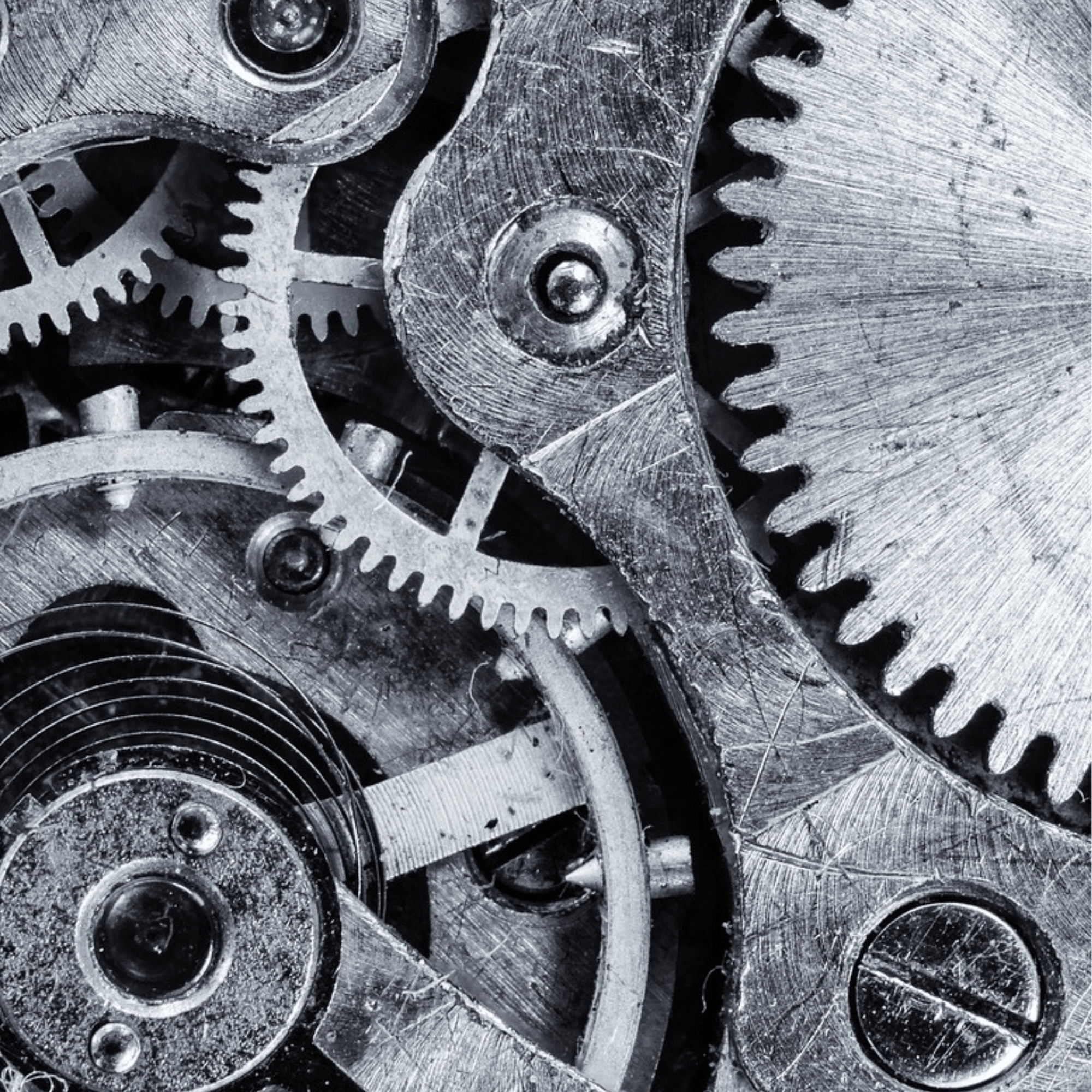 The Currie Service Model